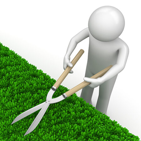 RedPen Editing: Pruning