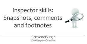 Header image | Inspector skills: Snapshots, comments and footnotes