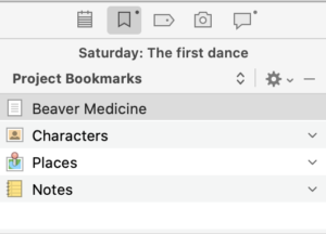 The bookmark icon in the Inspector