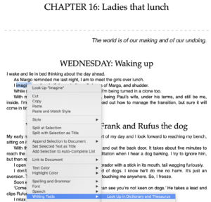 Second-fix self-editing with Scrivener: Word Choices