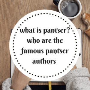 Who is a pantser