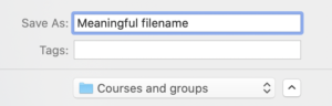 Naming a project file and filing it in Courses and groups directory