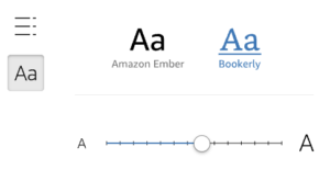 Reader controls for ebooks