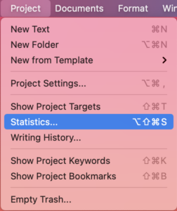 Selecting Project / Statistics from the main menu