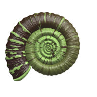 Wednesday Writers Online: Geology and Poetry