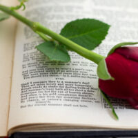 Wednesday Writers Online: Writing Sonnets