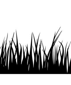 Insects in the grass? (Macro Editing Hat) | ScrivenerVirgin