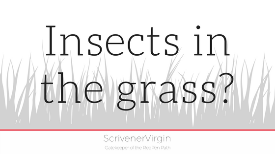 Insects in the grass? (Macro Editing Hat) | ScrivenerVirgin