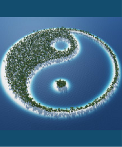 Yin and Yang In a Webinar World | ScrivenerVirgin